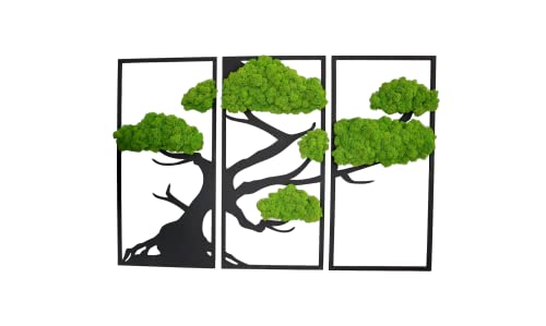 Hello Moss Wanddeko Moosbilder Triptychon in Form Eines Bonsai-Baumes - Schön Aussehender Wand Baum - Wandbild aus Natürlichen Rohstoffen und Deko Moos (natürlich Kiefer-mittelgrün, 33,5x70cm) von Generic