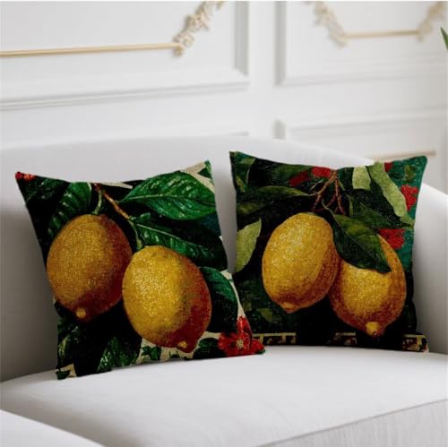Herbst Kissen Zitrone Kissenbezug 45x45cm Quadrat Kopfkissen 2er Set Sofakissen Grün Kuschelkissen Doppelseitiges Muster Kissenhüllen Samt Kissenbezüge Bauernhaus Garten Balkon Terrassen Deko wj-765 Herbst Kissen Zitrone Kissenbezug 45x45cm Quadrat Kopfkissen 2er Set Sofakissen Grün Kuschelkissen Doppelseitiges Muster Kissenhüllen Samt Kissenbezüge Bauernhaus Garten Balkon Terrassen Deko wj-765 von Generic
