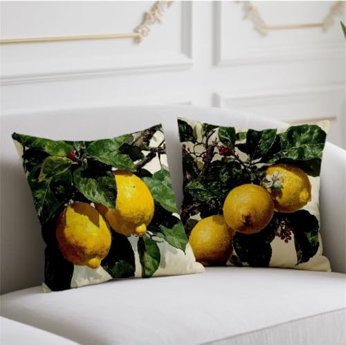 Herbst Kissen Zitrone Kissenbezug 65x65cm Quadrat Kopfkissen 2er Set Sofakissen Grün Kuschelkissen Doppelseitiges Muster Kissenhüllen Samt Kissenbezüge Bauernhaus Garten Balkon Terrassen Deko wj-773 Herbst Kissen Zitrone Kissenbezug 65x65cm Quadrat Kopfkissen 2er Set Sofakissen Grün Kuschelkissen Doppelseitiges Muster Kissenhüllen Samt Kissenbezüge Bauernhaus Garten Balkon Terrassen Deko wj-773 von Generic