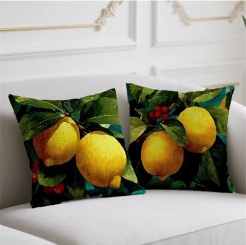 Herbst Kissen Zitrone Kissenbezug 70x70cm Quadrat Kopfkissen 2er Set Sofakissen Grün Kuschelkissen Doppelseitiges Muster Kissenhüllen Leinen Kissenbezüge Bauernhaus Garten Balkon Terrassen Deko wj-769 Herbst Kissen Zitrone Kissenbezug 70x70cm Quadrat Kopfkissen 2er Set Sofakissen Grün Kuschelkissen Doppelseitiges Muster Kissenhüllen Leinen Kissenbezüge Bauernhaus Garten Balkon Terrassen Deko wj-769 von Generic