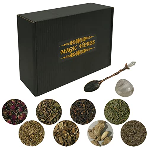 Hexenzubehör-Set, 30 Packungen – Kräuter für Zaubersprüche – Anfänger-Hexen-Set mit antikem Löffel, Hexe, Starter-Set, ideal heidnische Altar-Dekoration, Hexengeschenke für Hexen (30 Stück) von Generic