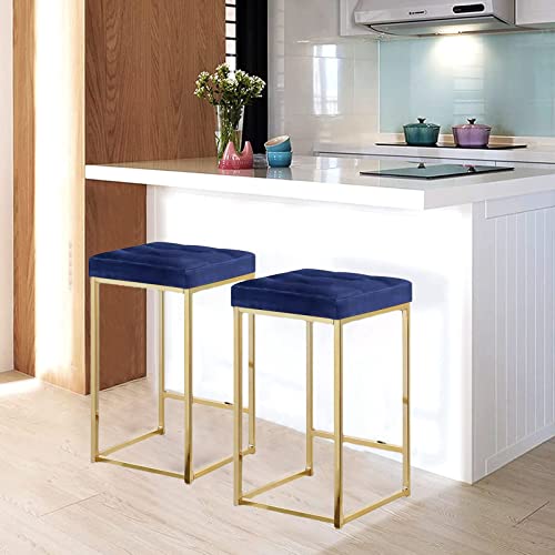 Hocker, rückenfreie Küchenbarhocker, 2er-Set, Thekenhöhe, gepolsterte Barhocker, quadratische Frühstücks-/Esszimmerhocker/Kaffee-/Sitzhöhe: 65 cm (Kaffee-Sitzhöhe: 65 cm) von Generic