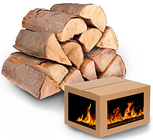 Holz Brennholz Buche Kaminholz 100 Kg Holzscheite 25-33 cm. Kammergetrocknetes Buchenholz bis 400 Kg. Feuerholz für Kamin Grill von Generic