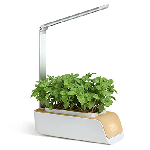 Hydroponik-Anbausystem, Hydroponik-Kräutergarten-Kit, automatische Bewässerung erdloser Kulturpflanzenwachstumsleuchten Multi-Funce-Anbaulampe von Generic