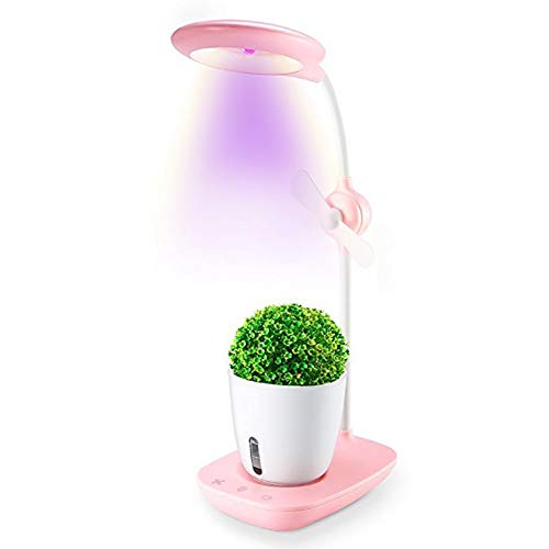 Hydroponik-Anbausystem, Indoor-Kräutergarten, 2-in-1-Leselicht zum Augenschutz Hydrokultur-Anbausystem mit sichtbarem Wasserspiegel, Luftreiniger auf Ihrem Schreibtisch, Blau (Rosa) von Generic