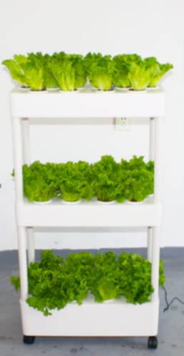 Hydroponik Growing System, Hydroponic Tower Growing Sy Indoor Home Used Hydroponic Tower Growing Sys Grow Planter Box 3 Schichten Aeroponic Sys Indoor Vertical Garden Tower mit Licht (3laye von Generic