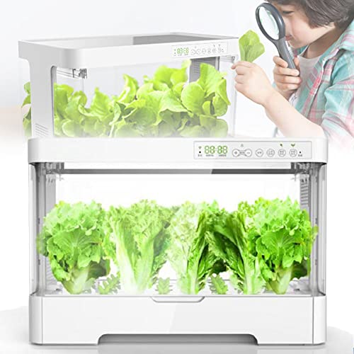 Hydroponisches Anbausystem, 20-W-Wachstumslicht für Gewächshäuser im Innenbereich, Hydroponischer Gemüsepflanzkasten mit 4-Liter-Wassertank, Abdeckung für kleine Gewächshäuser, für Kräuter, von Generic
