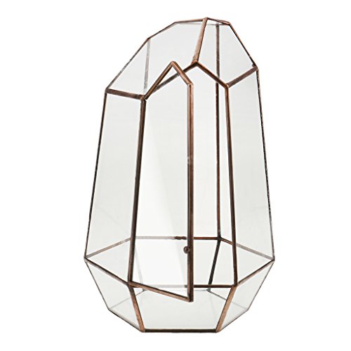 Irreguläre Mini Glas Terrarium Geometrisches Glas Sukkulente Pflanzen Pflanzgefäß Deko, 10 x 10 x 15cm von Generic