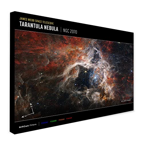 James Webb Weltraum-Teleskop – Tarantula Nebula (Nircam Compass), gerahmt, gerahmt, A4 [30 cm x 20 cm] von Generic