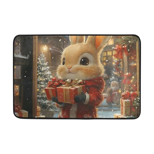 Kaninchen Türmatte Hochwertige Sauberlaufmatte Robust Badematte Für Outdoor Hauseingänge Garten 40 X 60Cm von Generic