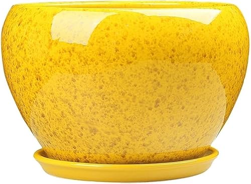 Keramiktöpfe Chinesischer Stil Gelbe Blumenglasur Keramiktopf Dekorativer Behälter Mit Untertasse Mit Abflusslöchern Für Blume Indoor, Yellow, 20cm von Generic