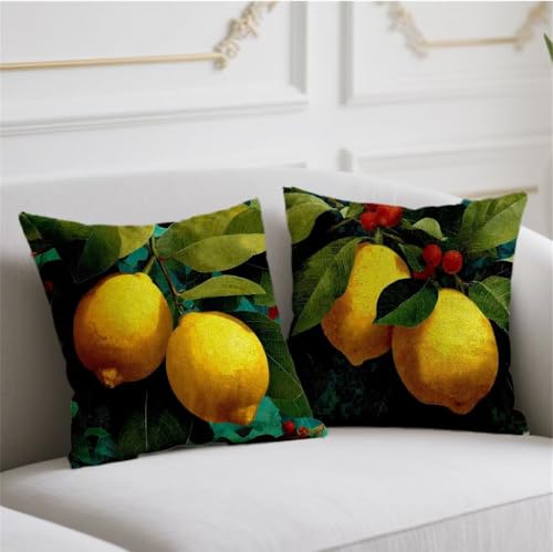 Kissenbezug 2 Stück 40x40cm Herbst Kissen Samt Kopfkissenbezug Zitrone kissenhüllen mit Unsichtbarem Reißverschluss Kissenbezüge Grün für Sofa Halloween Weihnachten Winter Herbst Deko,Geschenke wj-768 Kissenbezug 2 Stück 40x40cm Herbst Kissen Samt Kopfkissenbezug Zitrone kissenhüllen mit Unsichtbarem Reißverschluss Kissenbezüge Grün für Sofa Halloween Weihnachten Winter Herbst Deko,Geschenke wj-768 von Generic