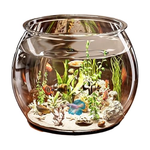 Kleines Aquarium mit Pflanzen – kompakter Zylinder mit 5 Gallonen | Büro zur Wasserkonfiguration für den Schreibtisch, Zimmer für Kinder, Ausstellung des Starttischs der V-Linie von Generic