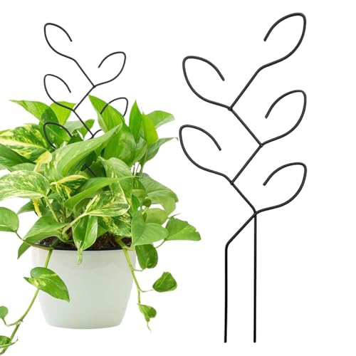 Kleines Rankgitter für Topfpflanzen, rostfreier Gartenstützpfahl – robuster Zimmerpflanzenständer für Efeu, Ranken, Gemüse, Blumen im Innenbereich Kleines Rankgitter für Topfpflanzen, rostfreier Gartenstützpfahl – robuster Zimmerpflanzenständer für Efeu, Ranken, Gemüse, Blumen im Innenbereich von Generic
