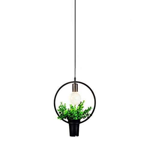 Kronleuchter, Einfacher Moderner Kronleuchter Kreative Eisenpflanze Blumentopf Restaurant Bekleidungsgeschäft Buchhandlucafé Restaurant Pflanzendekorationpendelleuchte Energieklasse/B/a Kronleuchter, Einfacher Moderner Kronleuchter Kreative Eisenpflanze Blumentopf Restaurant Bekleidungsgeschäft Buchhandlucafé Restaurant Pflanzendekorationpendelleuchte Energieklasse/B/a von Generic