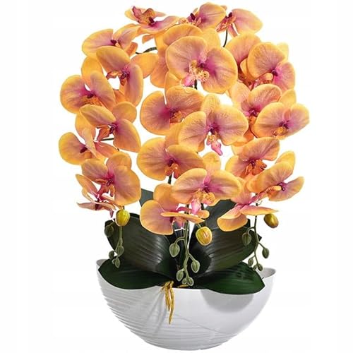 Künstliche Orchidee Größen – täuschend echte Kunstpflanze mit Blüten & Schale – Deko für Zuhause, Büro, Geschenk – pflegefrei & langlebig (Orange) von Generic
