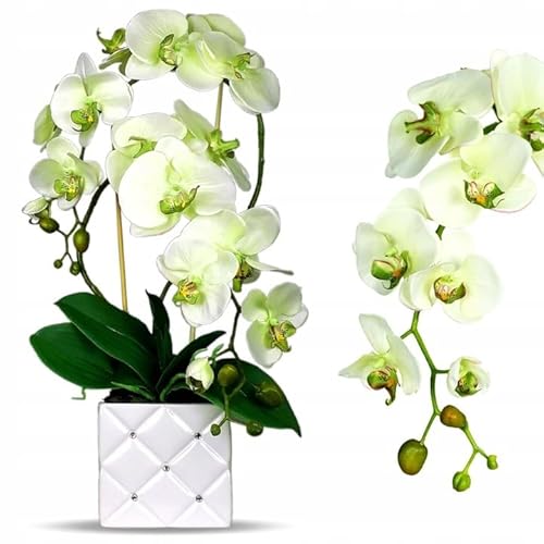 Künstliche Orchidee | Künstliche Blumen | Orchidee in einem weißen Topf | Hohe Qualität| Neues Dessang| Ecrue von Generic