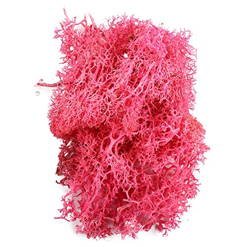 Künstliches Moos, Grünes Gras für Tafelaufsätze, Grüne Pflanzen, Ewiges Leben, Moosgras - Heim, Wohnzimmer, Garten Dekoration (Rosa) von Generic