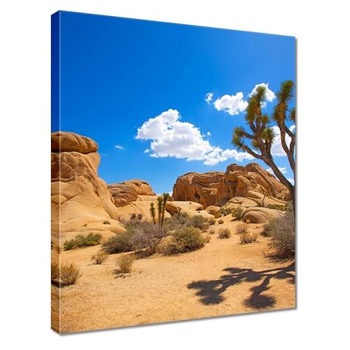 Kunstdruck auf Leinwand, 40 x 50 cm, Kaktus in der Wüste Nr. H4485M_PC1Q_40 x 50 cm von Generic