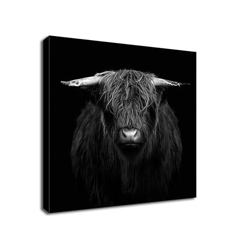 Kunstdruck auf Leinwand, gerahmt, Motiv: Highland Cow, 96 x 96 cm, Schwarz / Weiß von Generic