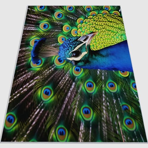 Kurzflor Teppich 80 x 150 cm, Maschinenwaschbar und rutschfest Natur Realistisch Tierfotografie Pfau Flanell Teppich im Thema Geeignet für Schlafzimmer Wohnzimmer Esszimmer und Flur Grün Kurzflor Teppich 80 x 150 cm, Maschinenwaschbar und rutschfest Natur Realistisch Tierfotografie Pfau Flanell Teppich im Thema Geeignet für Schlafzimmer Wohnzimmer Esszimmer und Flur Grün von Generic