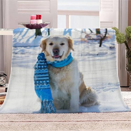 Kuscheldecke 140x200 Labrador, 3D Flanell Fleecedecke Lustige Hunde Weiche und Warme Wohndecke, Decke als Sofadecke, Tagesdecke Wolldecke für Kinder Erwachsene F774 von Generic