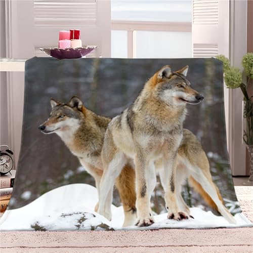 Kuscheldecke Flauschig Decke XXL 150x200cm Couchdecke - Tier Tschechischer Wolfshund Fleecedecke Warme Sofa Decke für Spring, Helle Farbe Kuschlige Wohndecke Kinder Tagesdecke Kuscheldecke Flauschig Decke XXL 150x200cm Couchdecke - Tier Tschechischer Wolfshund Fleecedecke Warme Sofa Decke für Spring, Helle Farbe Kuschlige Wohndecke Kinder Tagesdecke von Generic