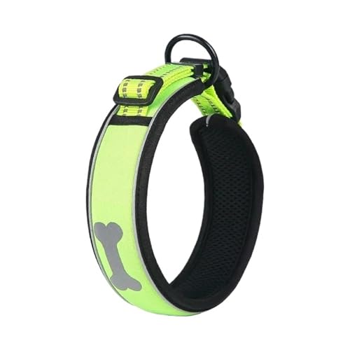 Labrador Hundehalsband mit goldenem Fell für mittelgroße und kleine Haustiere, mit reflektierendem Ring und Knochenmuster (Silbergrün, L) von Generic