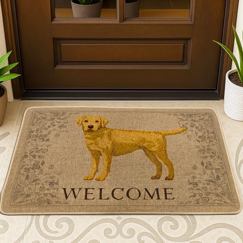 Labrador Willkommens-Fußmatte, gelber Hund, für drinnen und draußen, für alle Jahreszeiten, rustikales Bauernhaus-Design, rutschfeste Tier-Eingangsmatte, leicht zu reinigen, 73 x 43 cm Labrador Willkommens-Fußmatte, gelber Hund, für drinnen und draußen, für alle Jahreszeiten, rustikales Bauernhaus-Design, rutschfeste Tier-Eingangsmatte, leicht zu reinigen, 73 x 43 cm von Generic