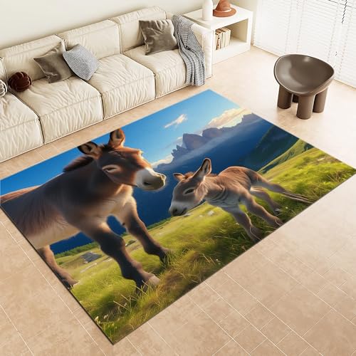 Läufer 80x150cm Bunt Teppiche, Naturlandschaft Grasland Tier Esel Waschbarer Rutschfester Teppich, weiche Teppich für den Innenbereich, Schlafzimmer, Wohnzimmer, Esszimmer von Generic