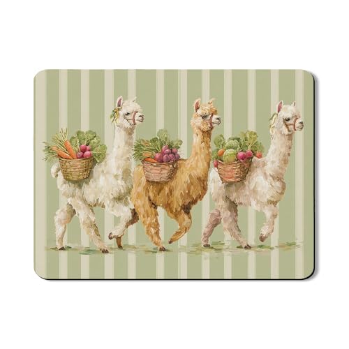 Lama-Abtropfmatten für Küchentheke, rustikaler Bauernhaus-Stil, saugfähiges Gummi-Abtropfgestell, Frühlingsblumen-Design, Abtropfunterlage für Küchentheke, 45,7 x 61 cm von Generic