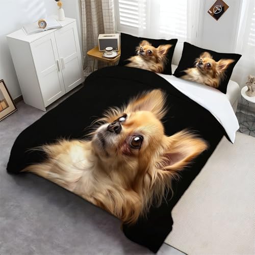 Langhaariger Chihuahua Luxus-Bettbezug-Set mit Hellgelb Bettwäsche Microfaser Bettbezug mit Reißverschluss und 2 Kissenbezug 135 x 200 cm Langhaariger Chihuahua Luxus-Bettbezug-Set mit Hellgelb Bettwäsche Microfaser Bettbezug mit Reißverschluss und 2 Kissenbezug 135 x 200 cm von Generic