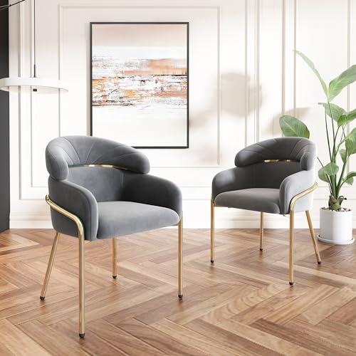 Lounge Sessel mit 4 Metallbeinen Samt Polsterstuhl für Küche Esszimmer Wohnzimmer Schlafzimmer Büro Arbeitszimmer Freizeitstuhl bis 150 kg Belastbar Armlehnstuhl 2er Set Grau von Generic