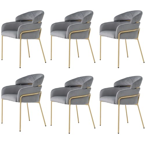 Lounge Sessel mit 4 Metallbeinen Samt Polsterstuhl für Küche Esszimmer Wohnzimmer Schlafzimmer Büro Arbeitszimmer Freizeitstuhl bis 150 kg Belastbar Armlehnstuhl 6er Set Grau Lounge Sessel mit 4 Metallbeinen Samt Polsterstuhl für Küche Esszimmer Wohnzimmer Schlafzimmer Büro Arbeitszimmer Freizeitstuhl bis 150 kg Belastbar Armlehnstuhl 6er Set Grau von Generic