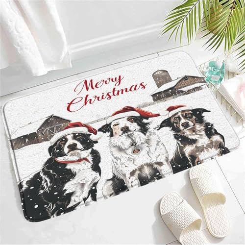 Lustig Badematte Türmatte Eingangsmatte 40×60cm für Schlafzimmer,Badezimmer,Eingang von Generic