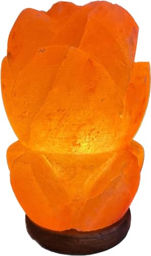 MaReBa24® Salzkristall Salzlampe LOTUSBLUME aus der Salt Range Pakistan von Generic