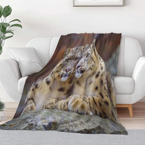 Mehrfarbig Bedruckte Kuscheldecke Für Kinder Jungen Mädchen Erwachsene, Ultraweicher Flauschiger Naturlandschaft Tierleopard Fuzzy Flanell Decke Für Schlafsofa Couch 180 x 200 cm Mehrfarbig Bedruckte Kuscheldecke Für Kinder Jungen Mädchen Erwachsene, Ultraweicher Flauschiger Naturlandschaft Tierleopard Fuzzy Flanell Decke Für Schlafsofa Couch 180 x 200 cm von Generic