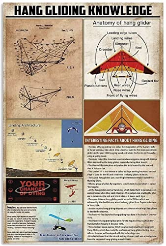 Metall Schilder Dragonfliegen-Wissen Blechschilder Lustige Wandkunst Für Zuhause Garage Parkplatz Café S von Generic