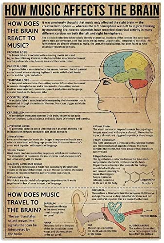 Metall Schilder Wie Musik Das Gehirn Beeinflusst Wie Gelangt Musik Ins Gehirn? Blechschilder Lustige Poster Für Geschäftshof Club Schule Carport M von Generic