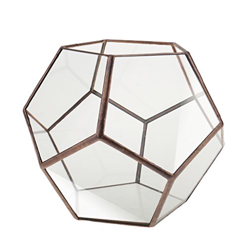 Mini Glasterrarium Geometrisches Glas Sukkulente Pflanzgefäß Haus Dekoration - 15 x 15 x 15cm von Generic