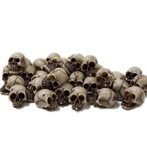 Mini Schädel Totenkopf Set, 20 Stück Halloween Schädel Kopf Dekoration,Harz Schädel Skelett Mini Schädel Figure Blumentopf Totenkopf Dekoration Für Halloween Und Horror Party von Generic