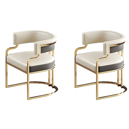 Moderne Gepolsterte Niedrige Rücken Arm Esszimmer Stühle mit Kunstleder Sitze und Messing Beine 2er Set für Küche Esszimmer Grau Weiß Farbe Thema von Generic