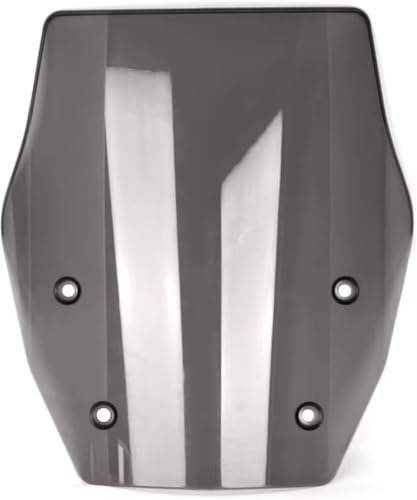Motorrad Front Windschutzscheibe Windabweiser Für BMW R1300GS R 1300 GS 2023 2024(Gray) von Generic