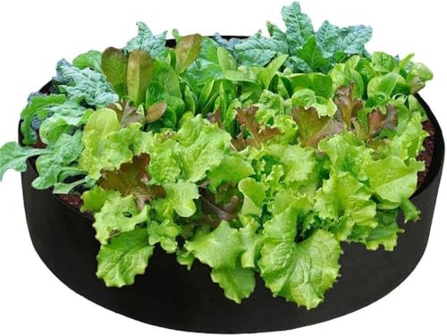 Mx Gut Runde Pflanztaschen Große Hochbeet Grow Bag Pflanzbehälter Vlies Weicher Stoff Pflanzgefäß Topf Für Zu Hause Pflanzen Blumen Gemüse, Black, 15 Gallons Mx Gut Runde Pflanztaschen Große Hochbeet Grow Bag Pflanzbehälter Vlies Weicher Stoff Pflanzgefäß Topf Für Zu Hause Pflanzen Blumen Gemüse, Black, 15 Gallons von Generic