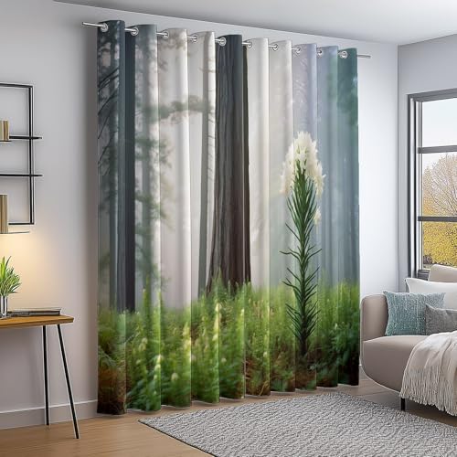 Nahaufnahme Wald Nebel Orchidee Bedruckte Verdunkelungsvorhänge mit Ösen, Bunt Vorhänge Blickdicht 2er Set H245×B145 cm, Perfekt für Wohnzimmer, Schlafzimmer und Raumdekoration Nahaufnahme Wald Nebel Orchidee Bedruckte Verdunkelungsvorhänge mit Ösen, Bunt Vorhänge Blickdicht 2er Set H245×B145 cm, Perfekt für Wohnzimmer, Schlafzimmer und Raumdekoration von Generic