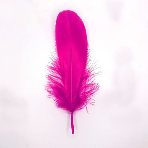 Natürliche Federn Gänsefedern, ca. 15-20 cm, 10 Stück, Fuchsia - Kopper-24 Gans Schwanzfedern Schmuck Dekoration Bastelfedern für Hochzeit Karneval Party Deko Kostüme Natur Basteln von Generic