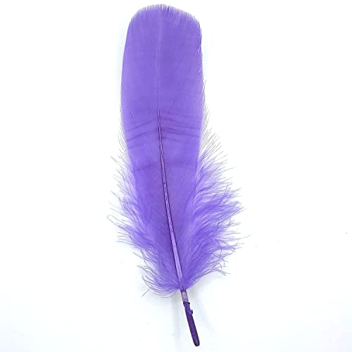Natürliche Federn Gänsefedern, ca. 15-20 cm, 10 Stück, Lila Flieder - Kopper-24 Gans Schwanzfedern Schmuck Dekoration Bastelfedern für Hochzeit Karneval Party Deko Kostüme Natur Basteln Natürliche Federn Gänsefedern, ca. 15-20 cm, 10 Stück, Lila Flieder - Kopper-24 Gans Schwanzfedern Schmuck Dekoration Bastelfedern für Hochzeit Karneval Party Deko Kostüme Natur Basteln von Generic