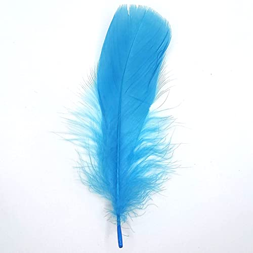 Natürliche Federn Gänsefedern, ca. 15-20 cm, 10 Stück, Türkis - Kopper-24 Gans Schwanzfedern Schmuck Dekoration Bastelfedern für Hochzeit Karneval Party Deko Kostüme Natur Basteln von Generic