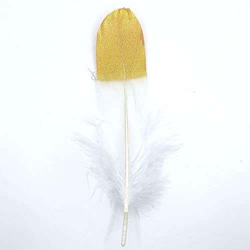 Natürliche Federn Gänsefedern, ca. 15-20 cm, 10 Stück, Weiß goldfarben - Kopper-24 Gans Schwanzfedern Schmuck Dekoration Bastelfedern für Hochzeit Karneval Party Deko Kostüme Natur Basteln von Generic