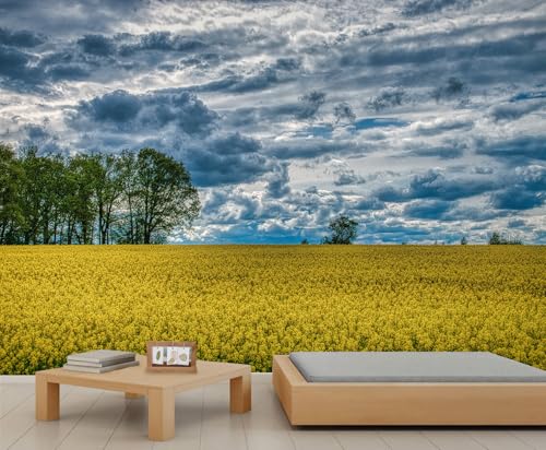 Natürliche Landschaftstapete Blauer Himmel und Weiße Wolken Akzenttapete Gelbe Rapsfelder Tapete Baum Kindertapete für Schlafzimmer Wohnzimmer Wandbild Poster Dekor 350 X 256 cm Natürliche Landschaftstapete Blauer Himmel und Weiße Wolken Akzenttapete Gelbe Rapsfelder Tapete Baum Kindertapete für Schlafzimmer Wohnzimmer Wandbild Poster Dekor 350 X 256 cm von Generic